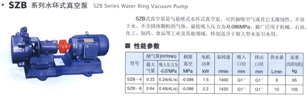 水环式真空泵