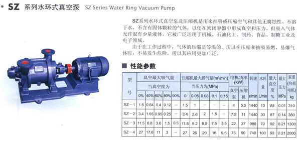 水环式真空泵